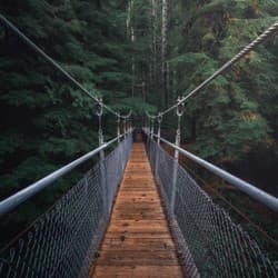 Adventure Stories category image