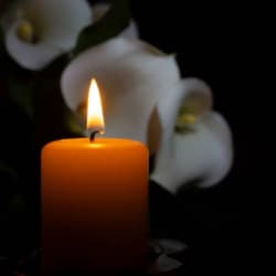 Grief & Bereavement category image