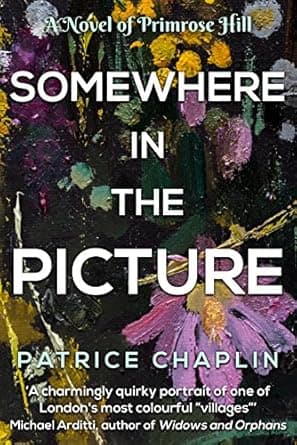 Somewhere in the Picture cover