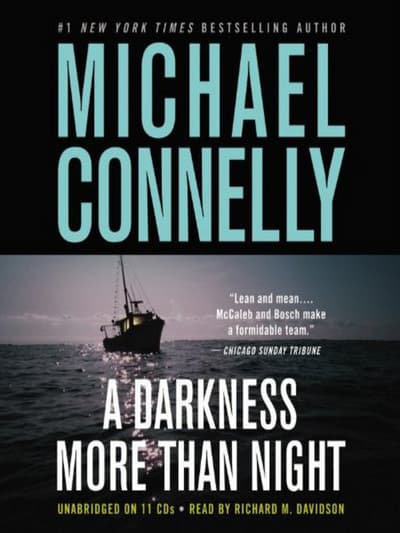 A Darkness More Than Night cover
